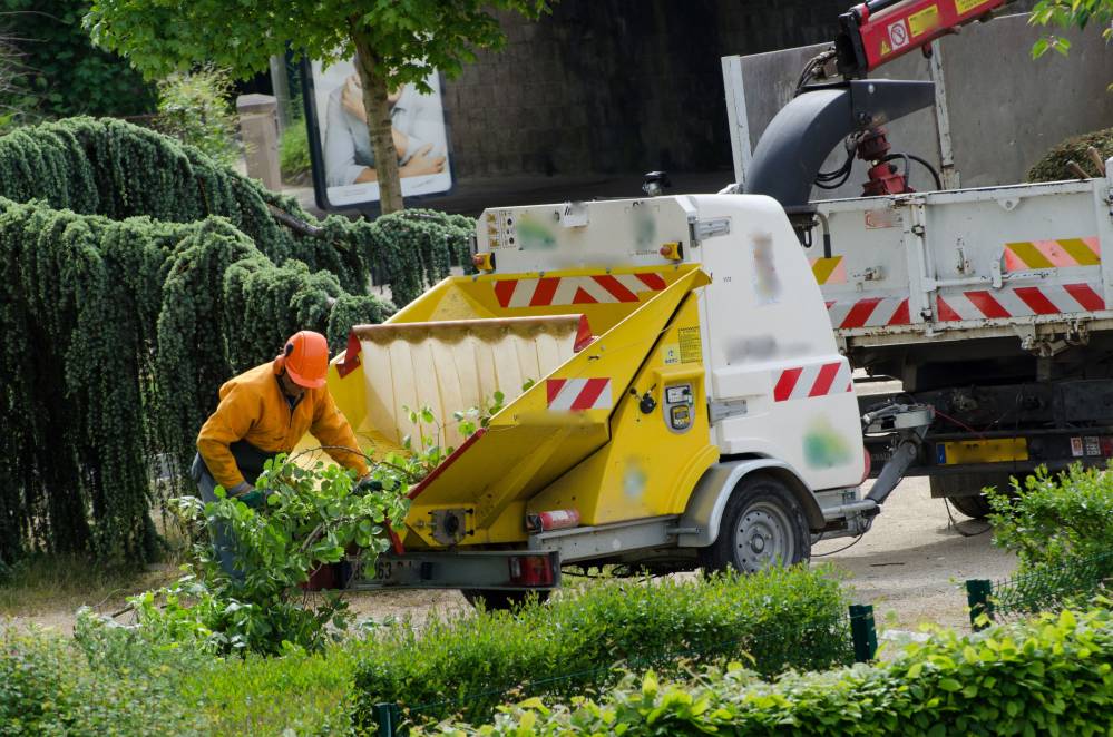 Broyage branche à Tilh